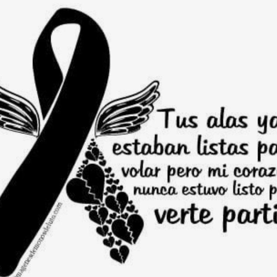 sólo para chicas nice de cabo san lucas | Busco quien haga letras de ...