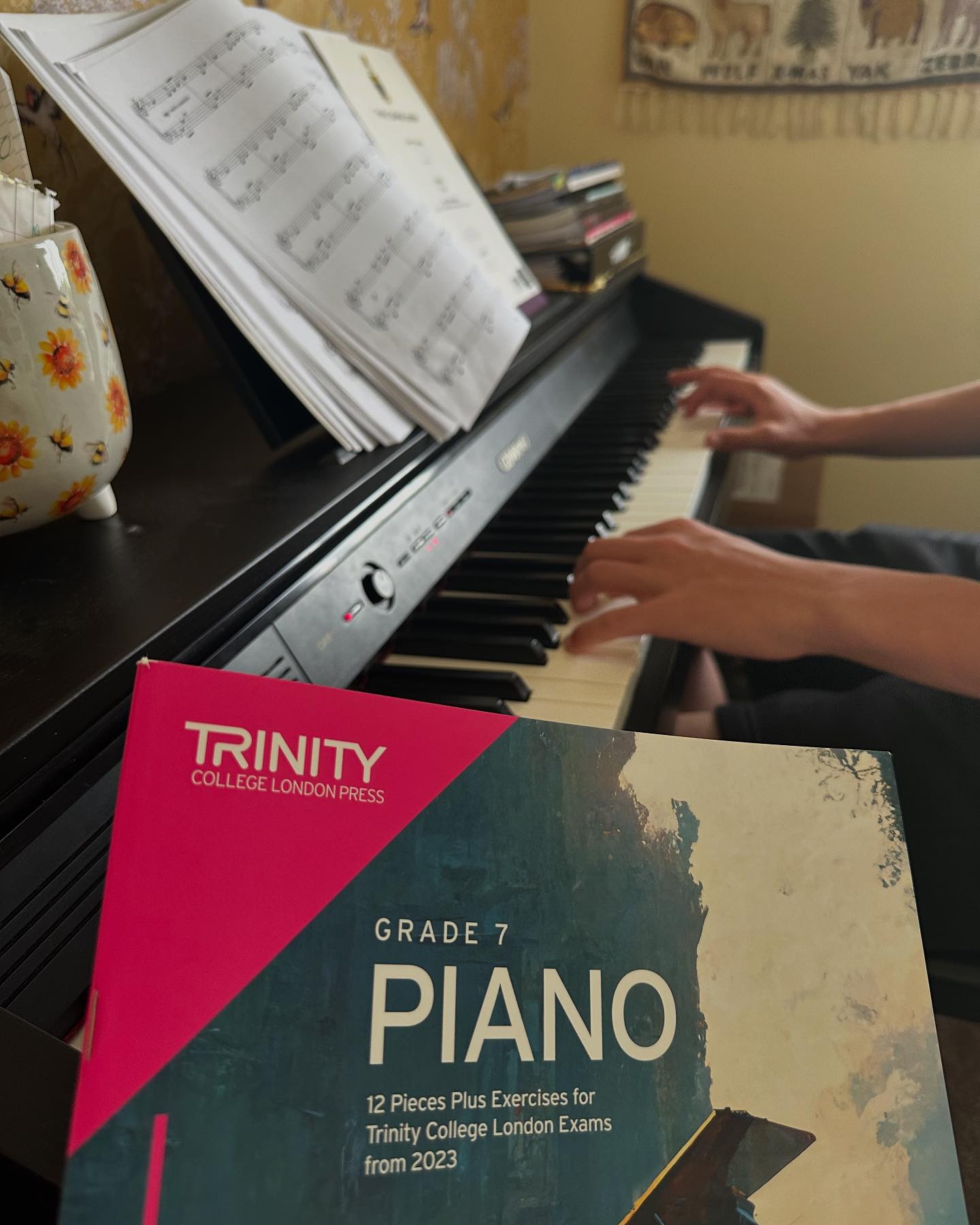 Beth's Home Piano Lessons