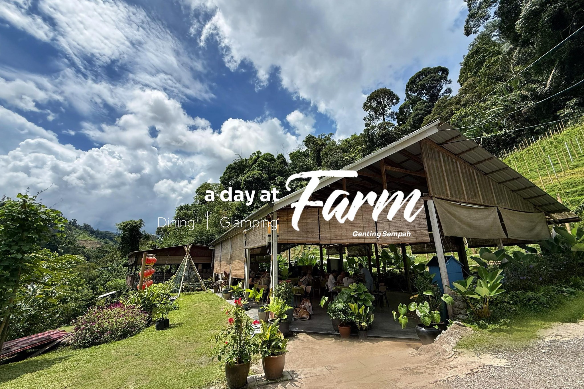 Sempah T-Farm 森芭梯田 | Kampung Bukit Tinggi