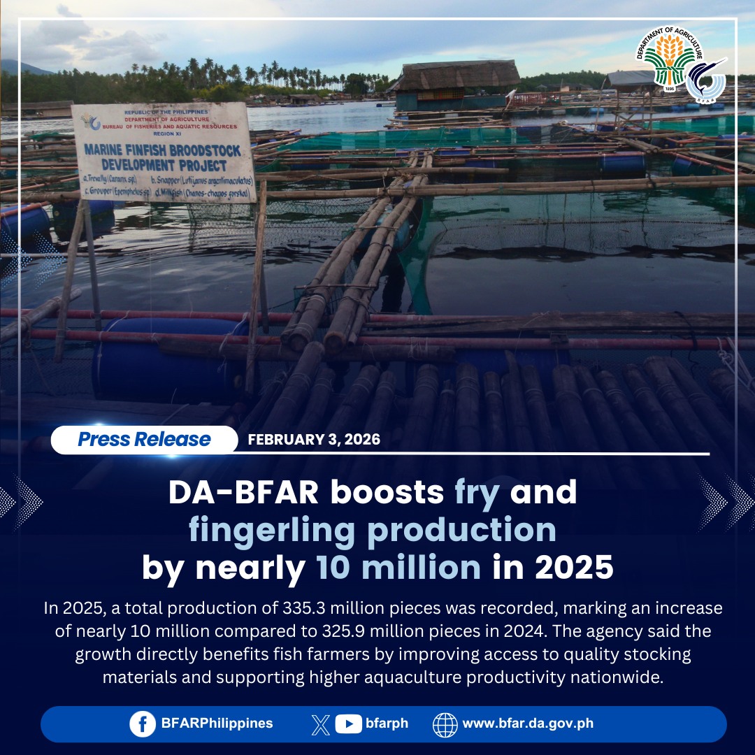 BFAR - #PressRelease | 𝐃𝐀-𝐁𝐅𝐀𝐑 𝐛𝐨𝐨𝐬𝐭𝐬 𝐟𝐫𝐲 𝐚𝐧𝐝 𝐟𝐢𝐧𝐠𝐞𝐫𝐥𝐢𝐧𝐠 𝐩𝐫𝐨𝐝𝐮𝐜𝐭𝐢𝐨𝐧 𝐛𝐲 ...