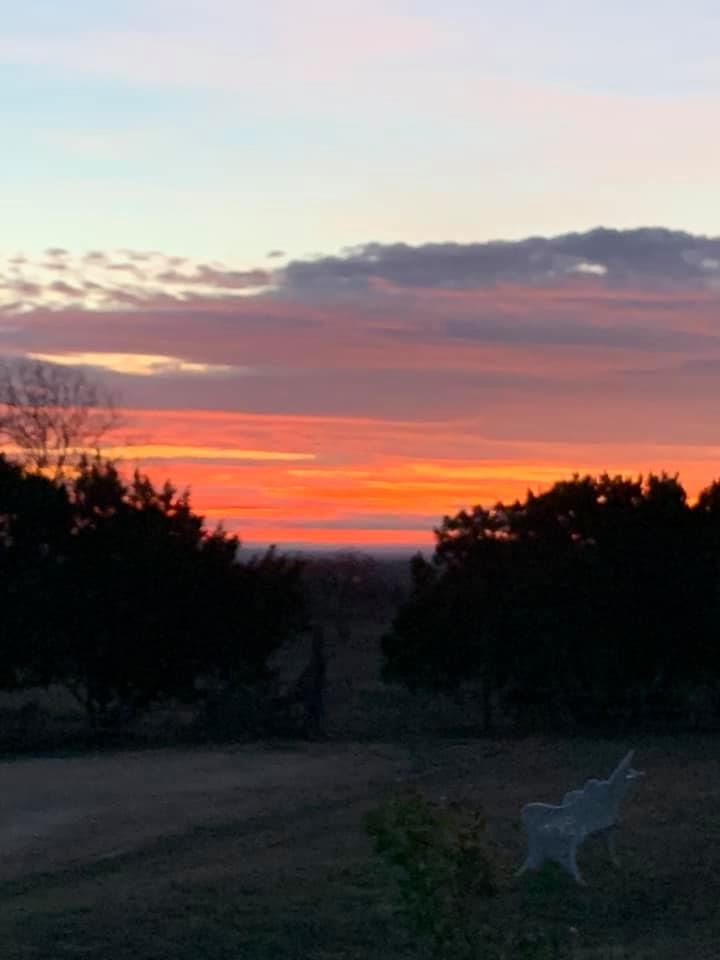 Two Angels Ranch | Fredericksburg TX