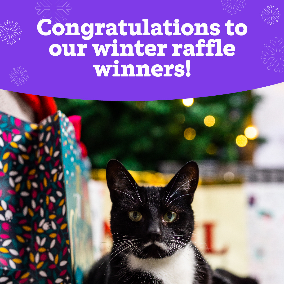 Telford - Our winter raffle has now been drawn, and all winners have ...