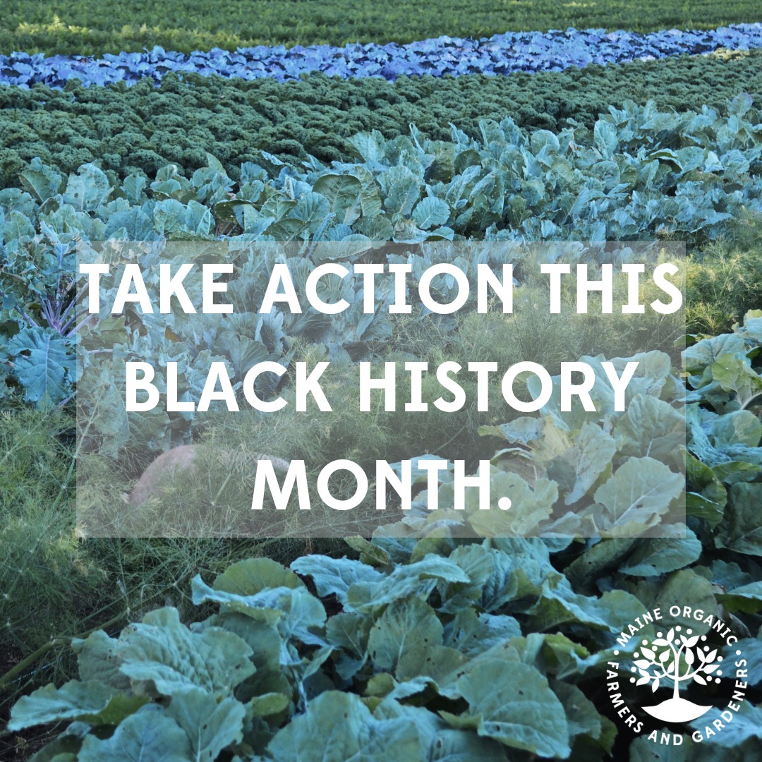 M... - Maine Organic Farmers and Gardeners Association (MOFGA)