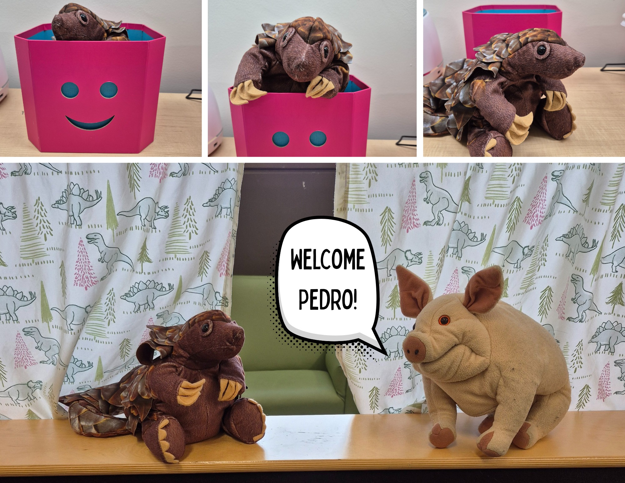A. C. - Meet Pedro the Pangolin! He's a new addition to our puppet ...
