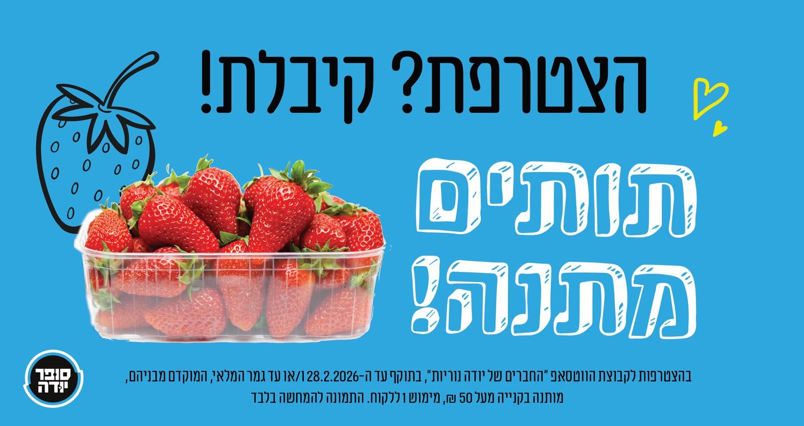 שכונת נרקיסים ונוריות 2024 | פתחו קבוצת וואסאפ של סופר יודה בנוריות ...
