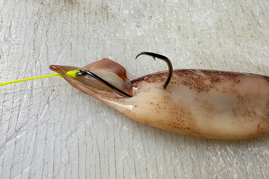 dog swallowed fish lure Topdog Topwater Floating Pencil MirrOlure She Dog Bait |