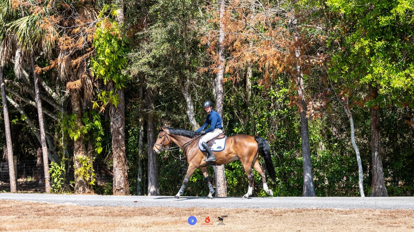 The Ridge - A relaxing show hack looks a bit different at The Ridge 🐎😍 ...