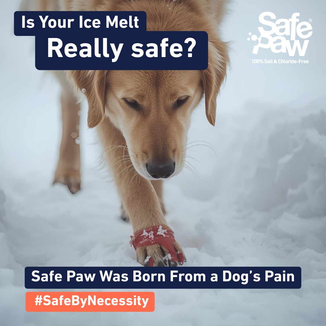 GAIA - Safe Paw wasn’t a marketing move—it was a necessity. It started ...