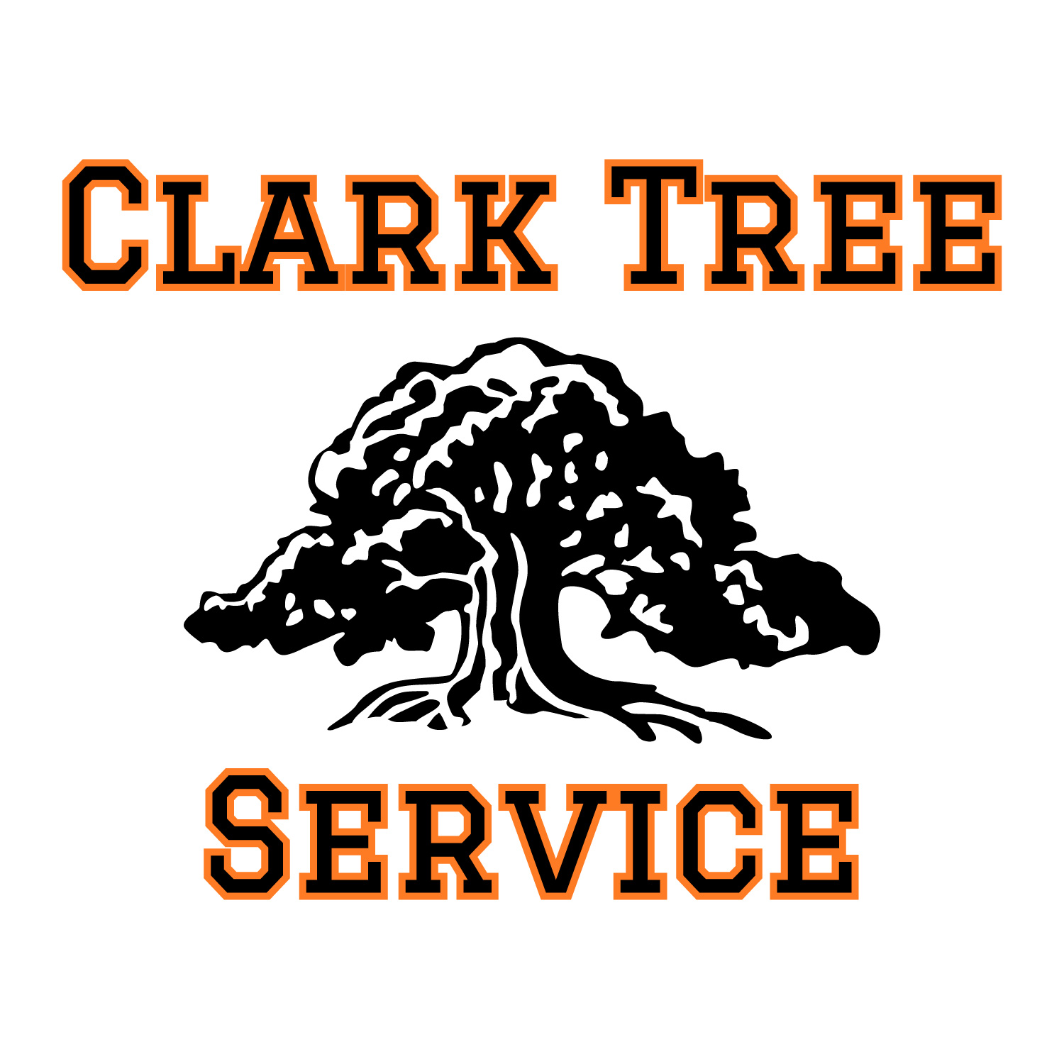 Clark Tree Service | Edgewood KY