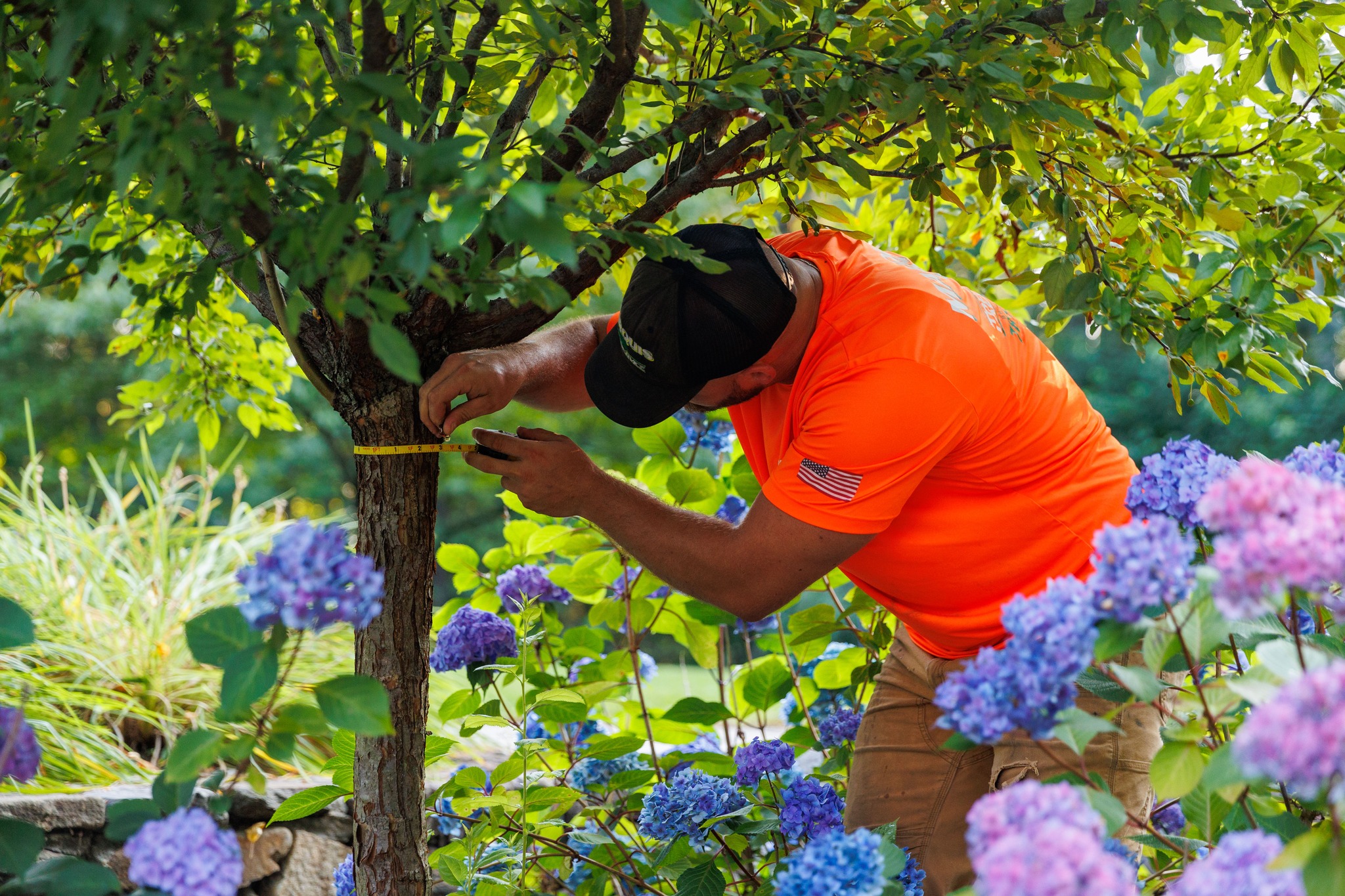 Marquis - Fall tree inspections can make all the difference for your ...