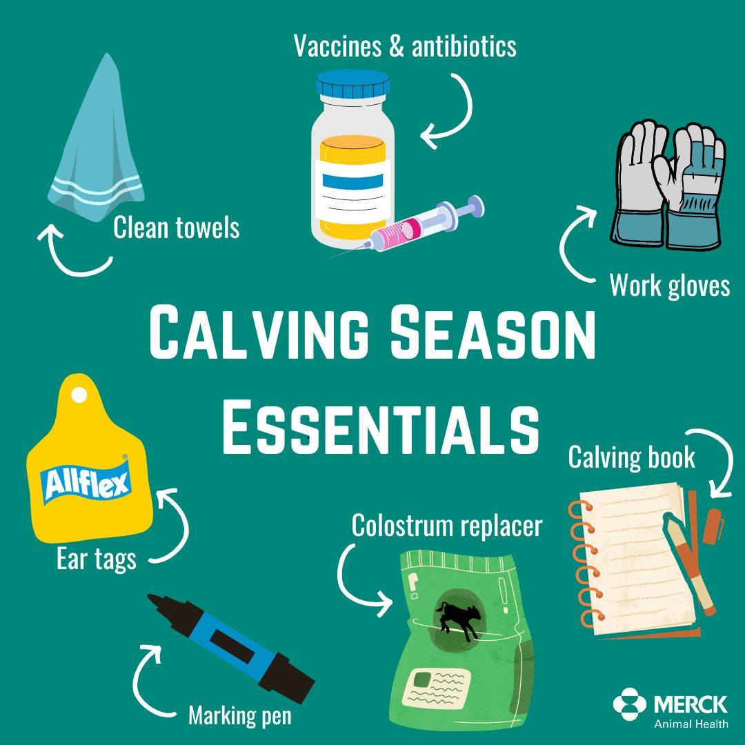 Big - You can never prepare too much for calving season. What's on your ...