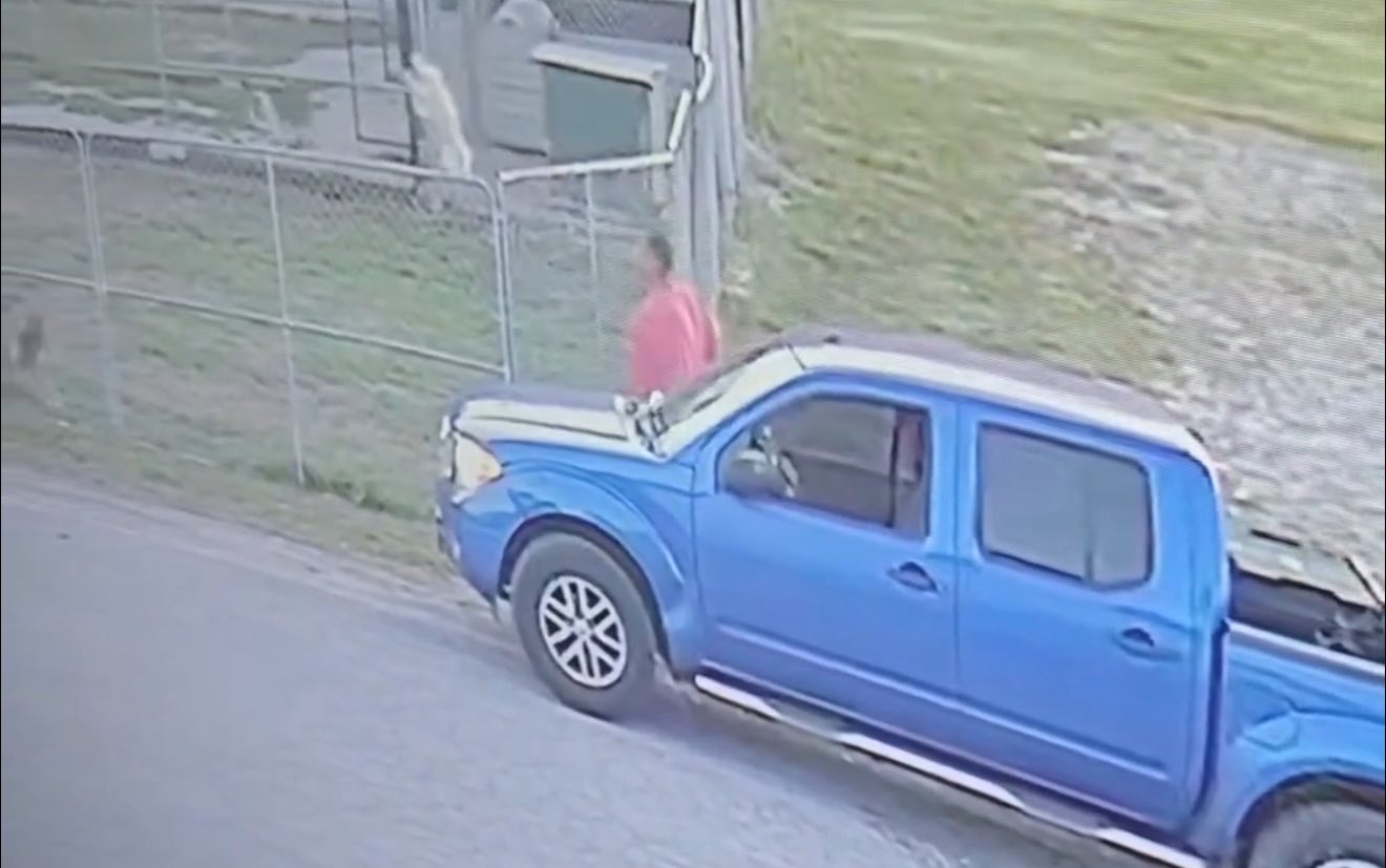 Nick Beres NC5 - REPREHENSIBLE — MAN ACCUSED OF TOSSING... | Facebook