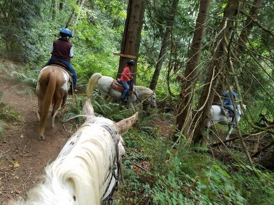 Butlerhill Equestrian Center | Burlington WA