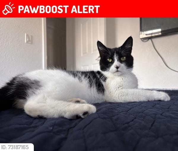 Florida - 🚨 Wendy was LOST TODAY in Washington County, FL 32428