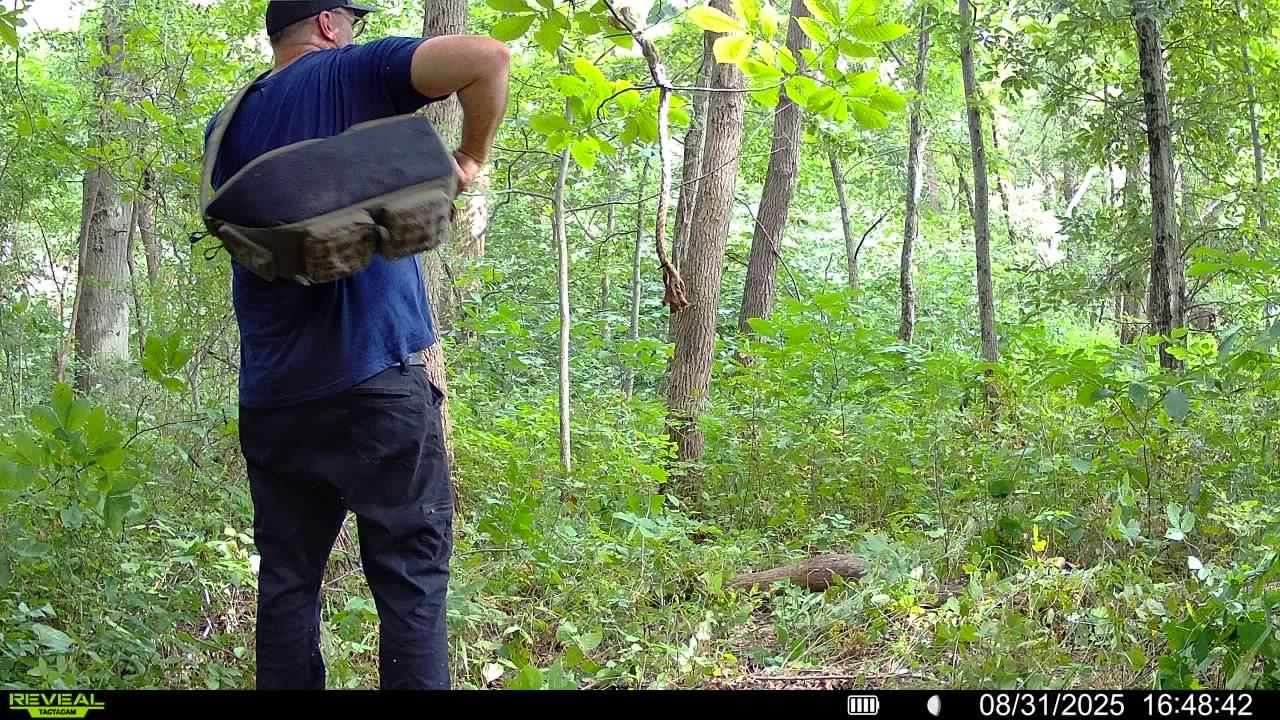 Do Community Scrapes work? I've been... - The Whitetail Guy | Facebook
