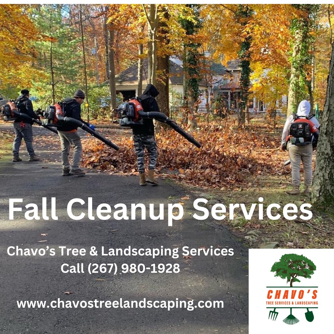 🍂🍁 Fall is here, and... - Chavo’s Tree Service & Landscaping | Facebook