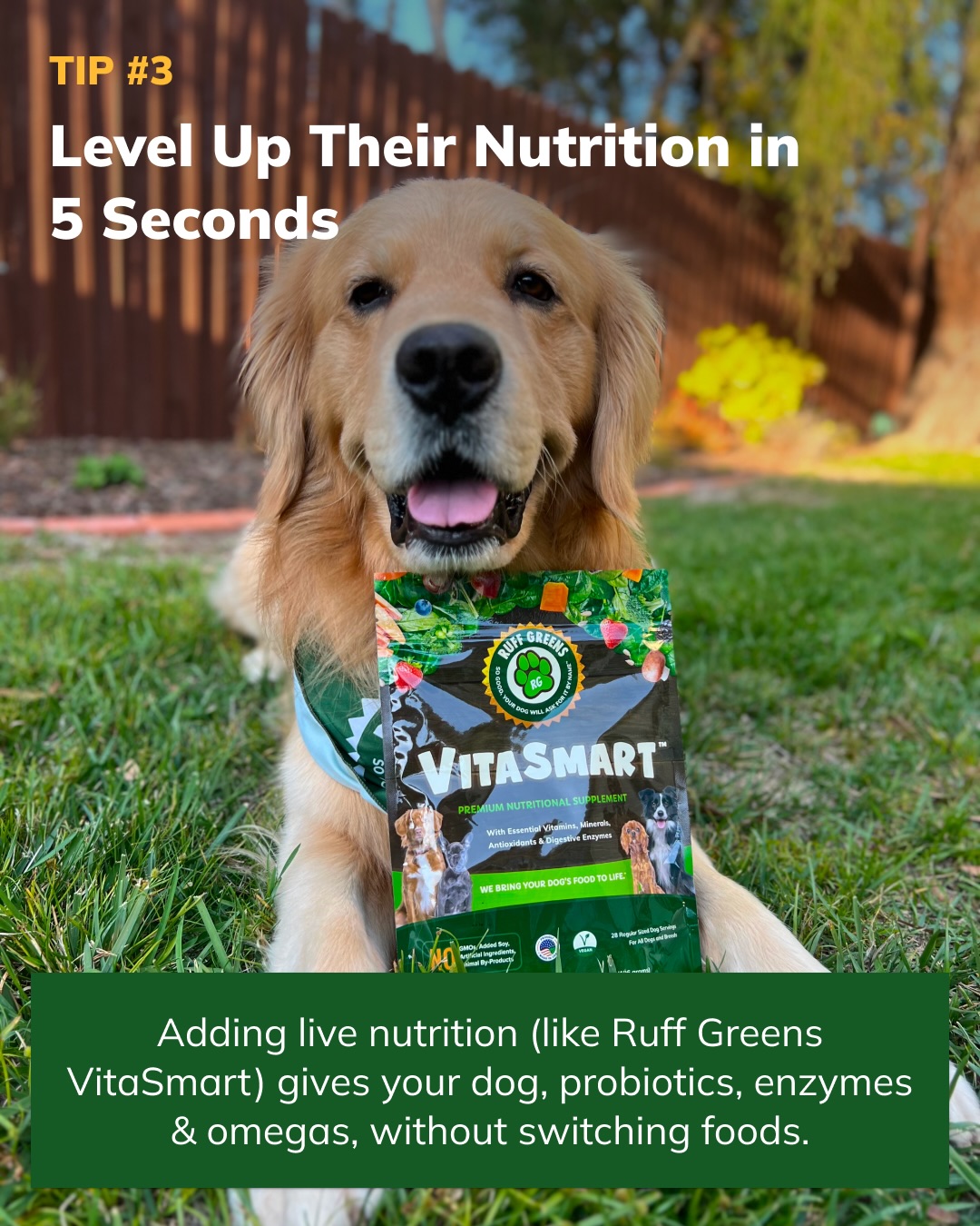 Ruff Greens, Inc. | Greenville TX