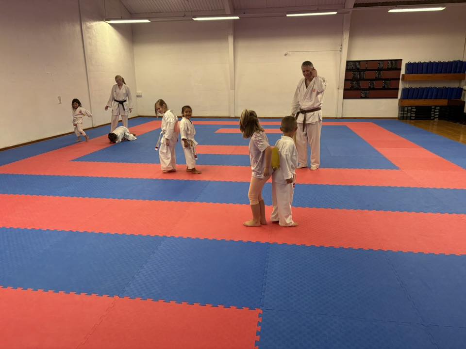 Mini-karate er tilbage! 🥋🧒👦 Efter en... - Taifu Karate Dojo | Facebook
