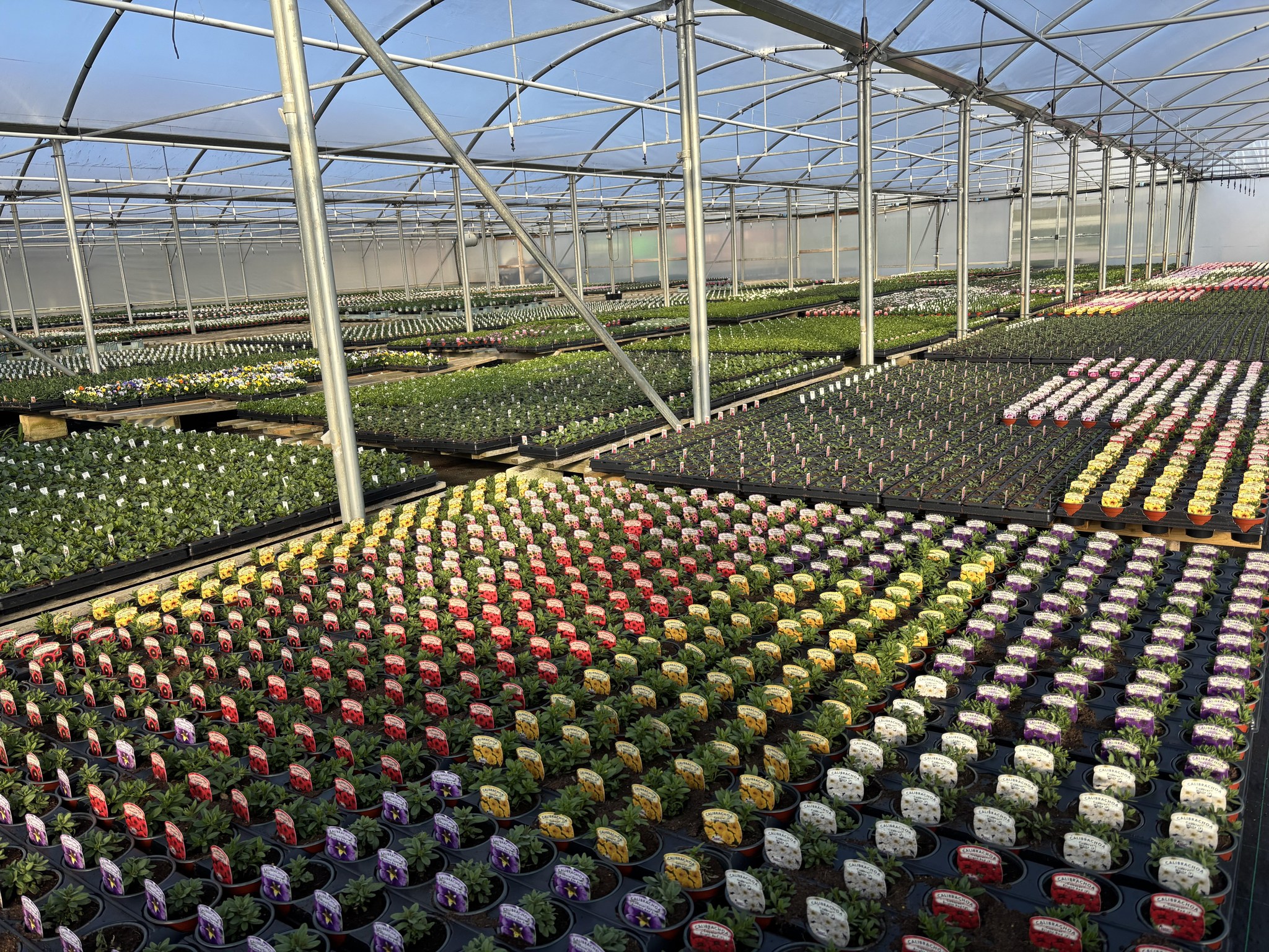 Pickwell Farm | Southampton