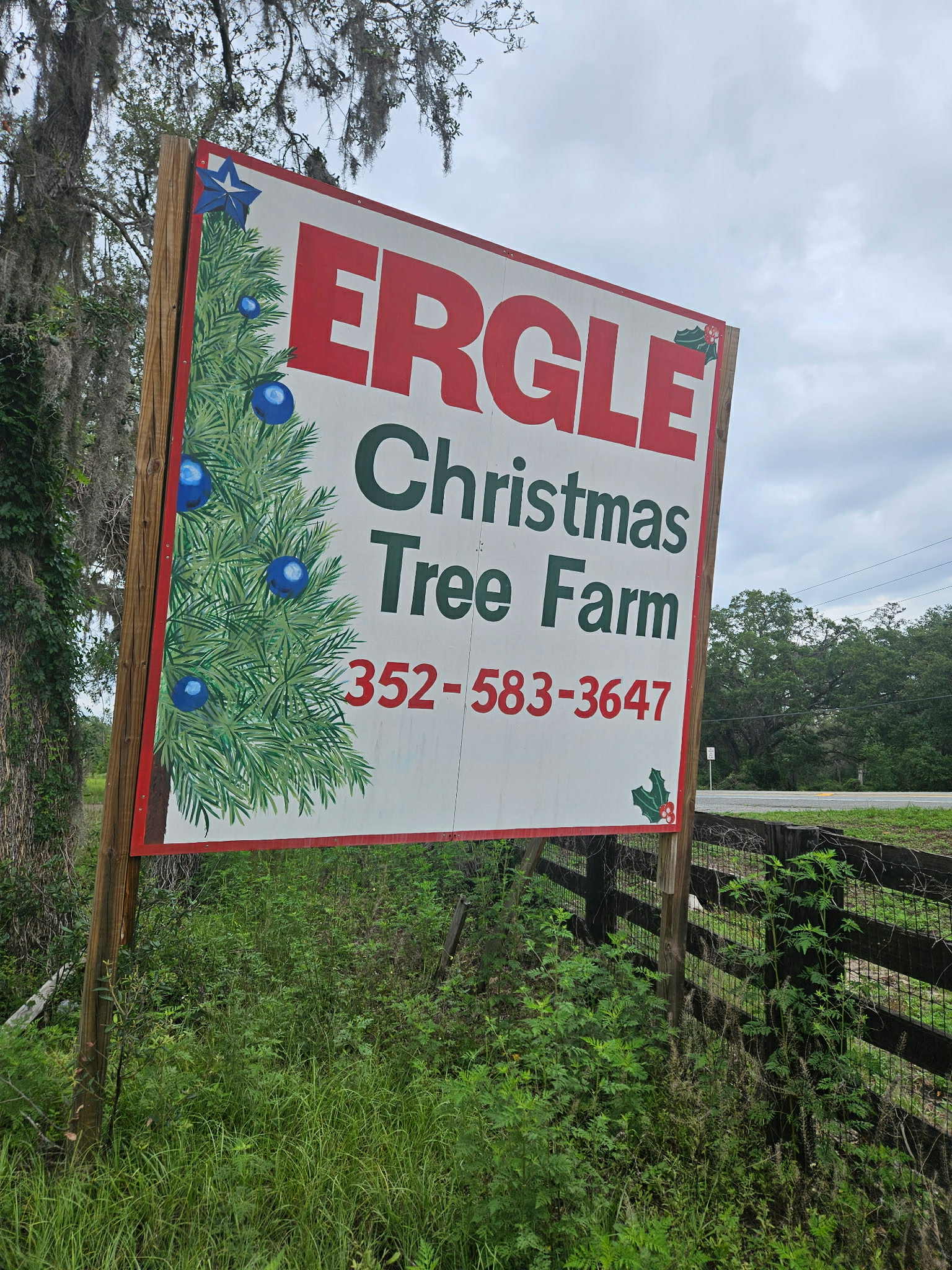 Ergle Christmas Tree Farm | Dade City FL