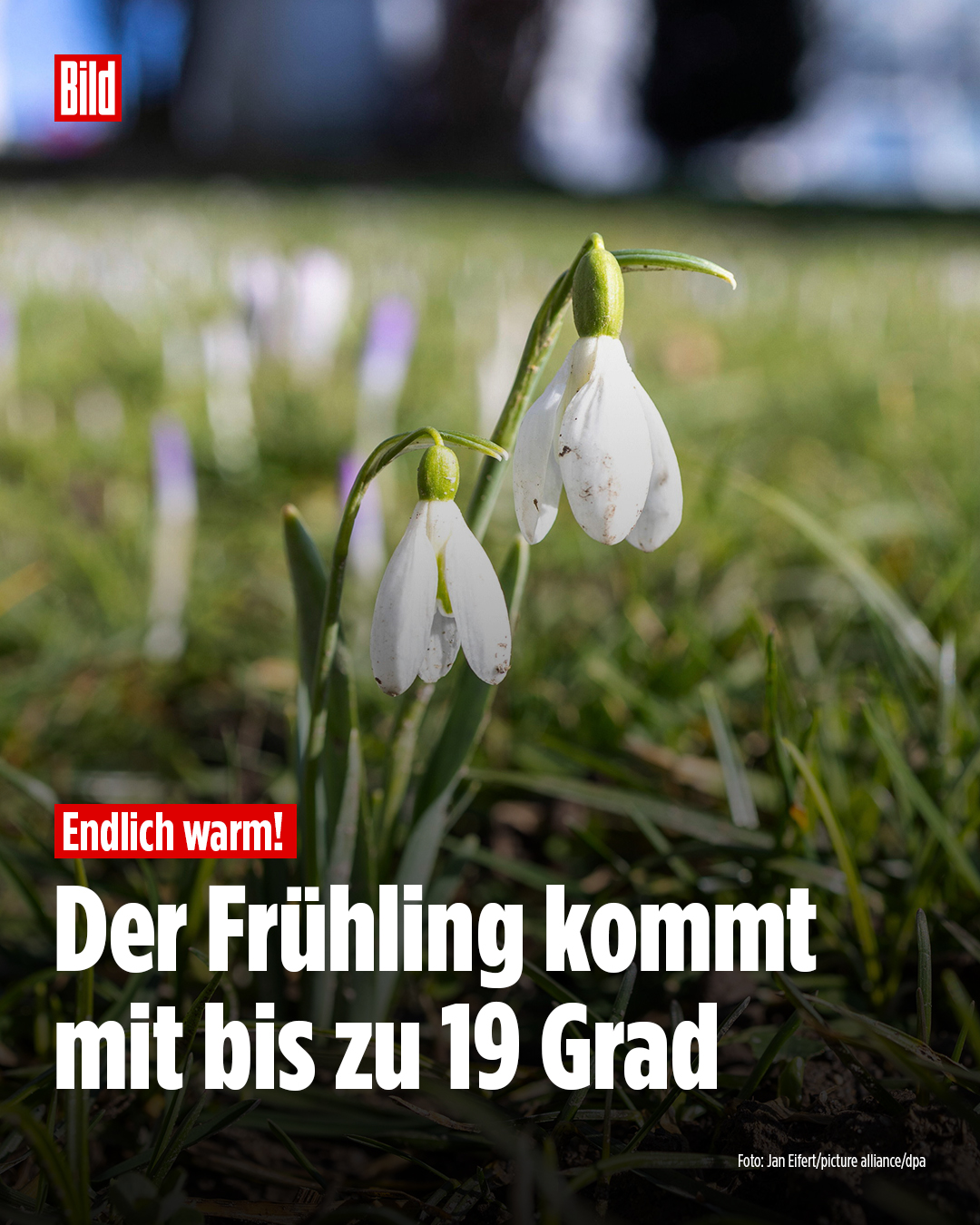 Bild - Schluss mit Frost, Schluss mit Winter-Grau! Jetzt... | Facebook