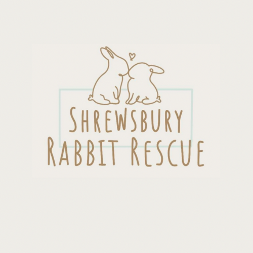 Shrewsbury Rabbit Rescue | Shrewsbury