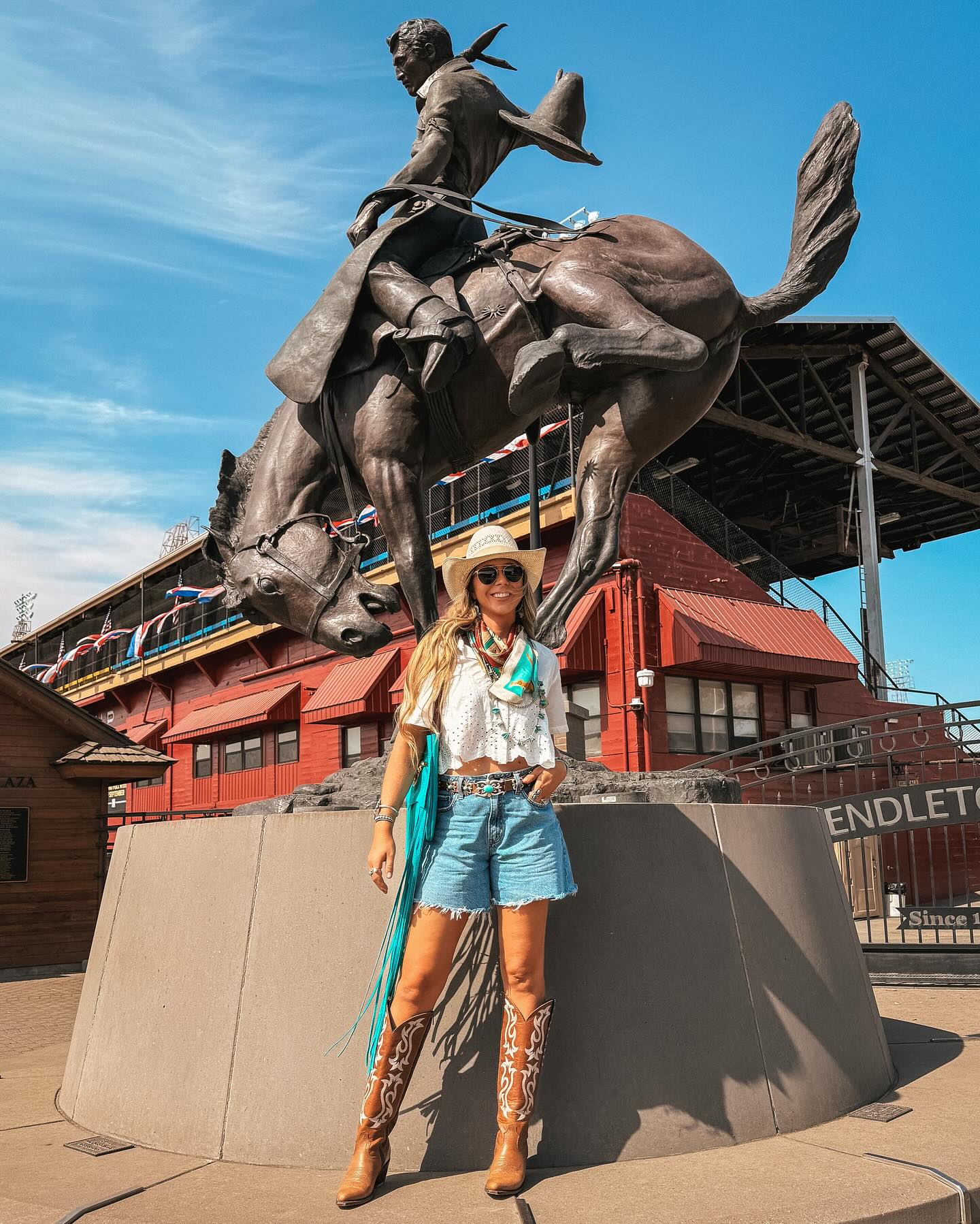 West Desperado by Shaley... - West Desperado by Shaley Ham