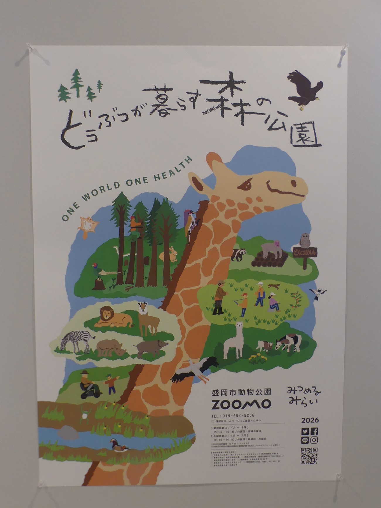 盛岡市動物公園 - 2026年 #どうぶつが暮らす森の公園 レギュラー