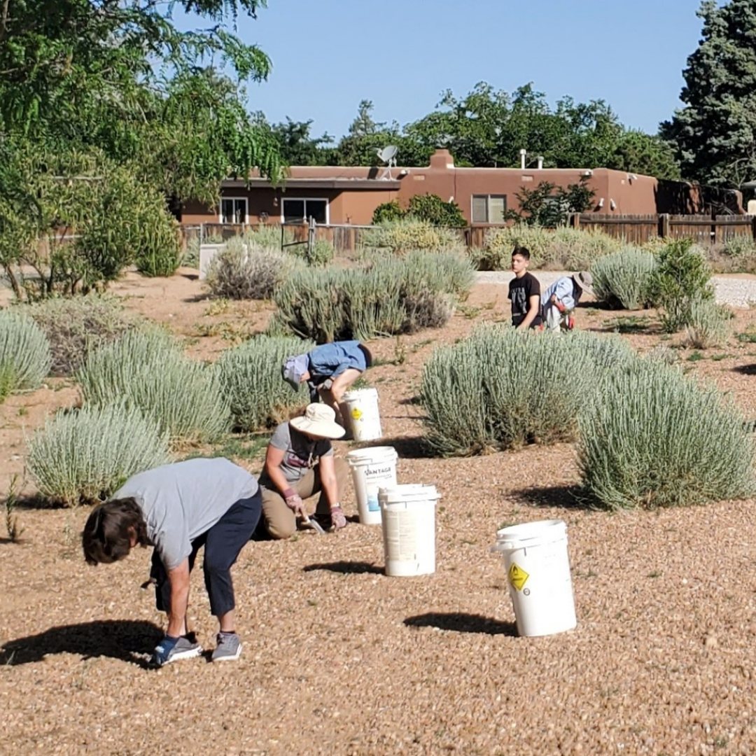 City of Rio Rancho Parks, Recreation and Community Services Department ...