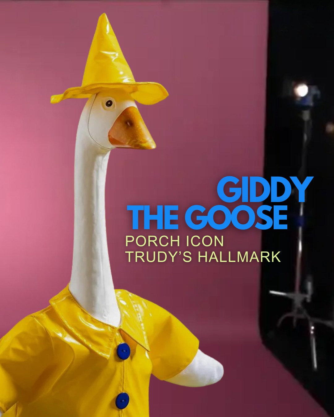 Giddy the Goose has officially entered... - Trudy's Hallmark | Facebook