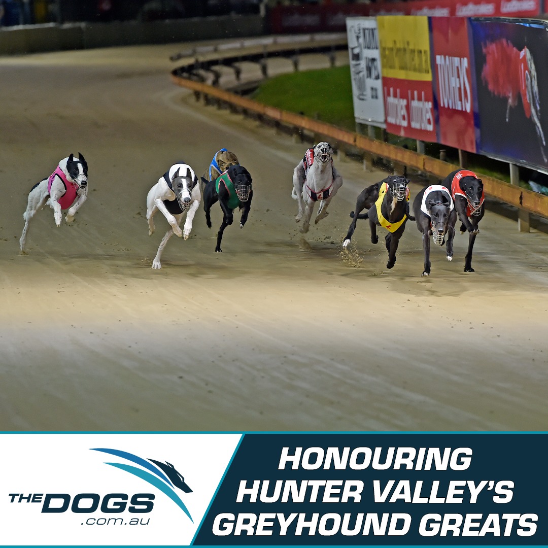 The Dogs - Six Hunter Valley greyhound racing icons will be celebrated ...