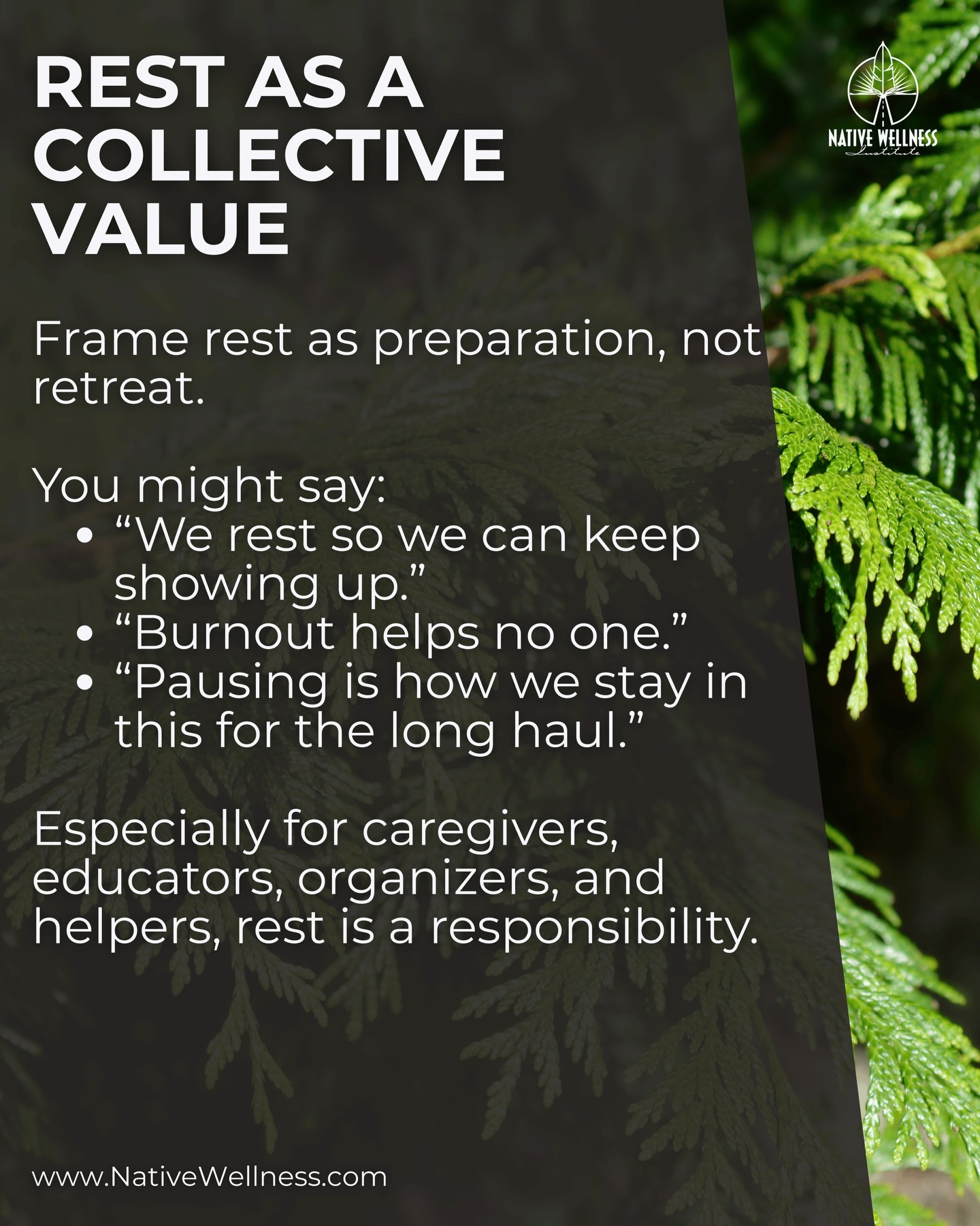 Native Wellness Institute