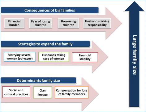 Reproductive and Child Health Research Unit - Home