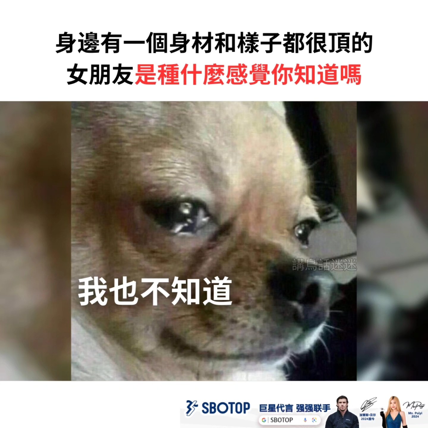 讲鸟话迷迷 - 誰可以跟我講一下 游戏时刻，尽在 SBO 体育 IG: birdtalkmeme . . #梗 #梗圖 #梗图 #梗圖系列 ...