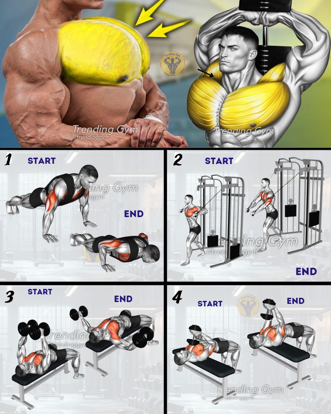 Trending - Top 4 Best Chest Workout Routine - Chest Day 🔥 ① Push-ups ② ...