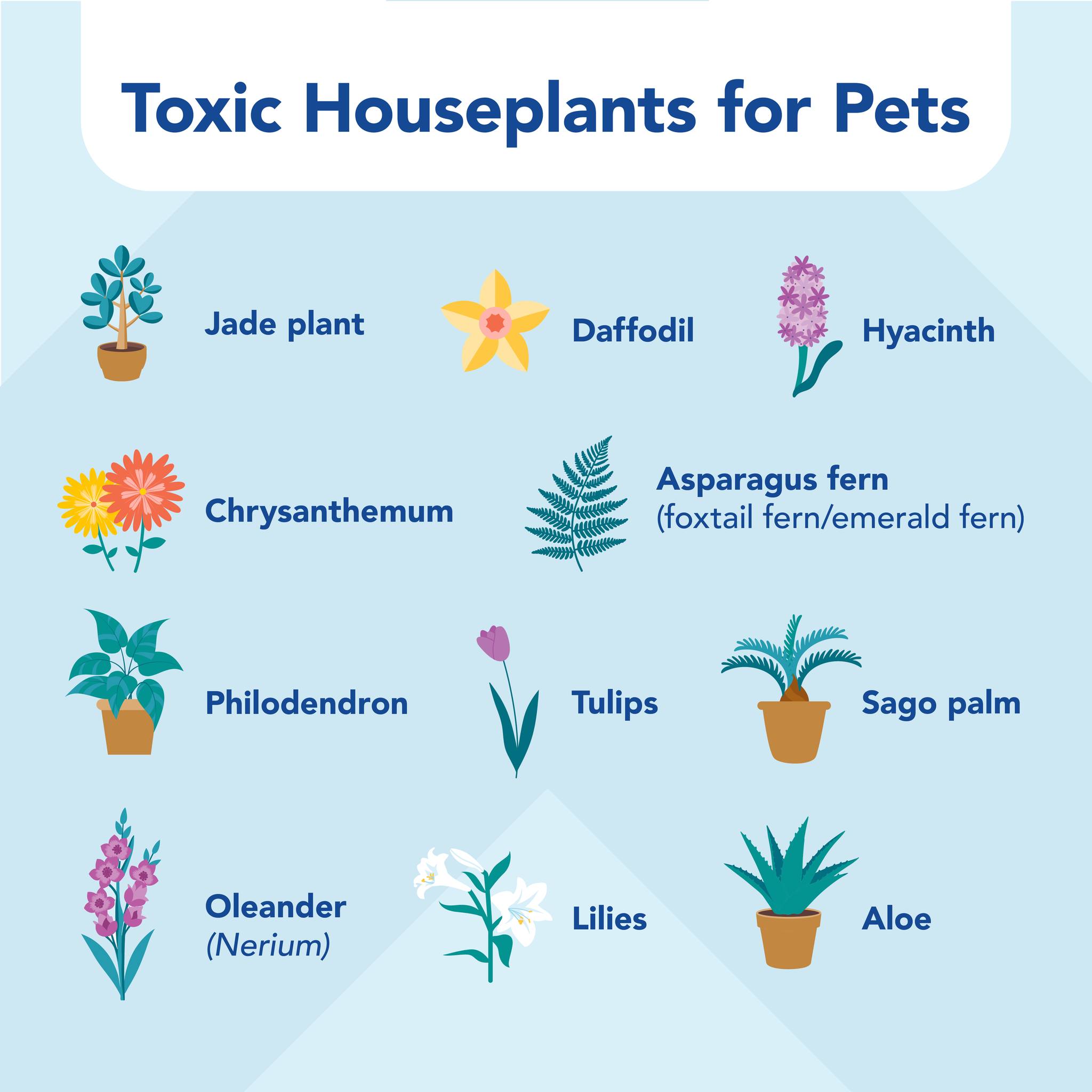 VCA Cypress Creek Animal Hospital | Lutz FL