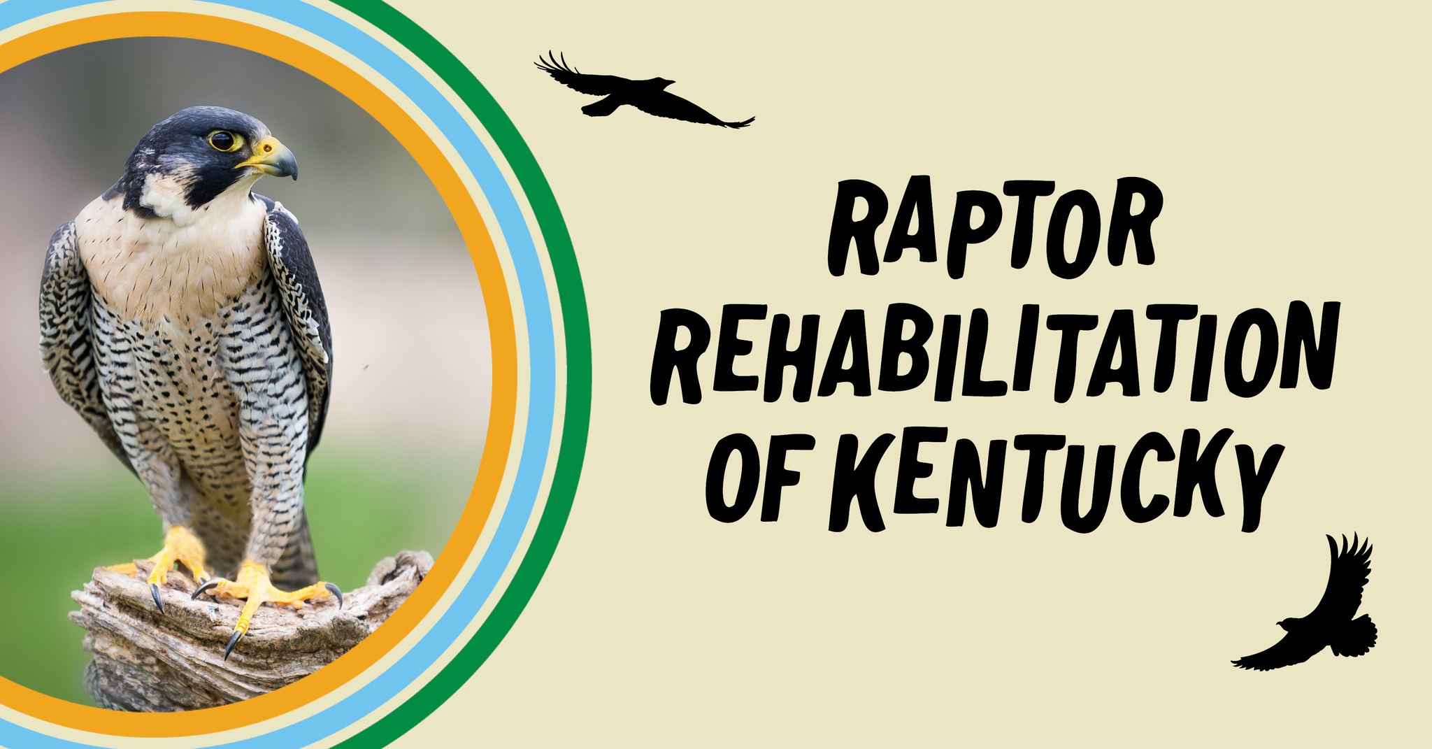Raptor Rehabilitation of Kentucky