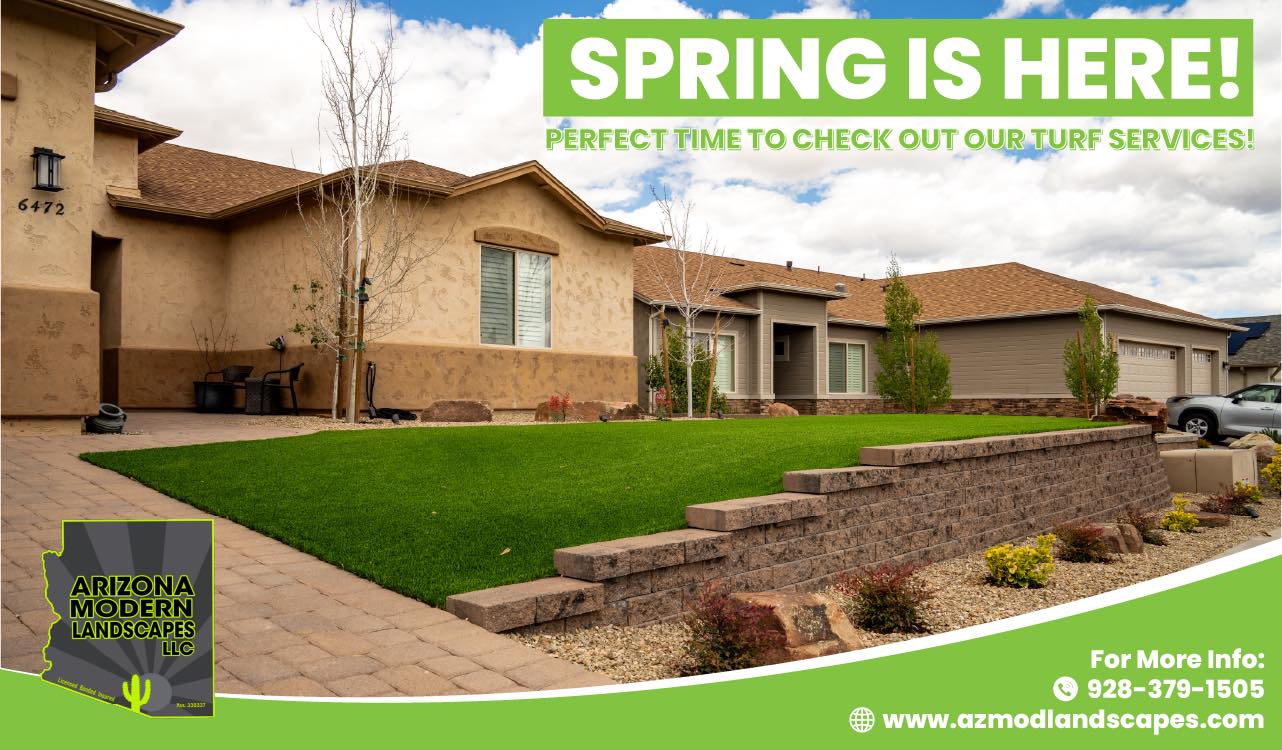 Arizona Modern Landscapes... - Arizona Modern Landscapes LLC