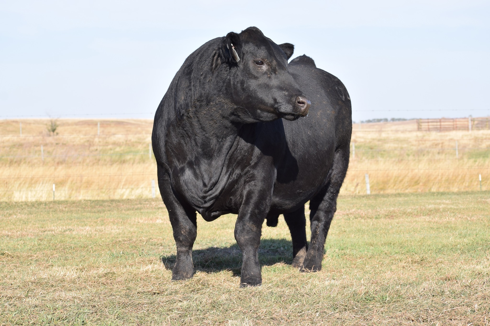 The catalog is at the printers!! It... - Spickler Ranch North | Facebook