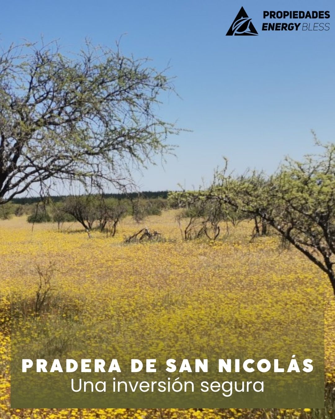 Propiedades - Ubicado estratégicamente a solo 3 minutos del corazón de ...