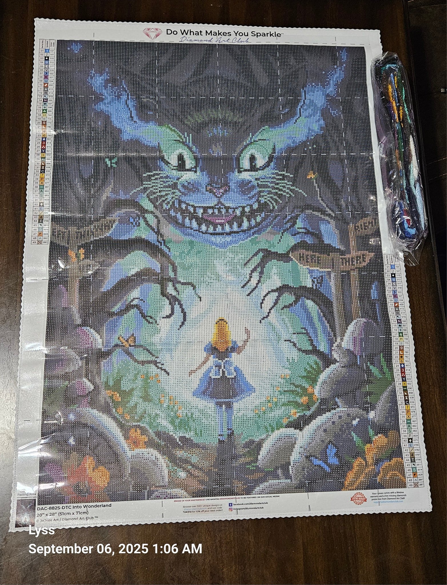 Diamond Art Club's Alice in Wonderland piece for beginner