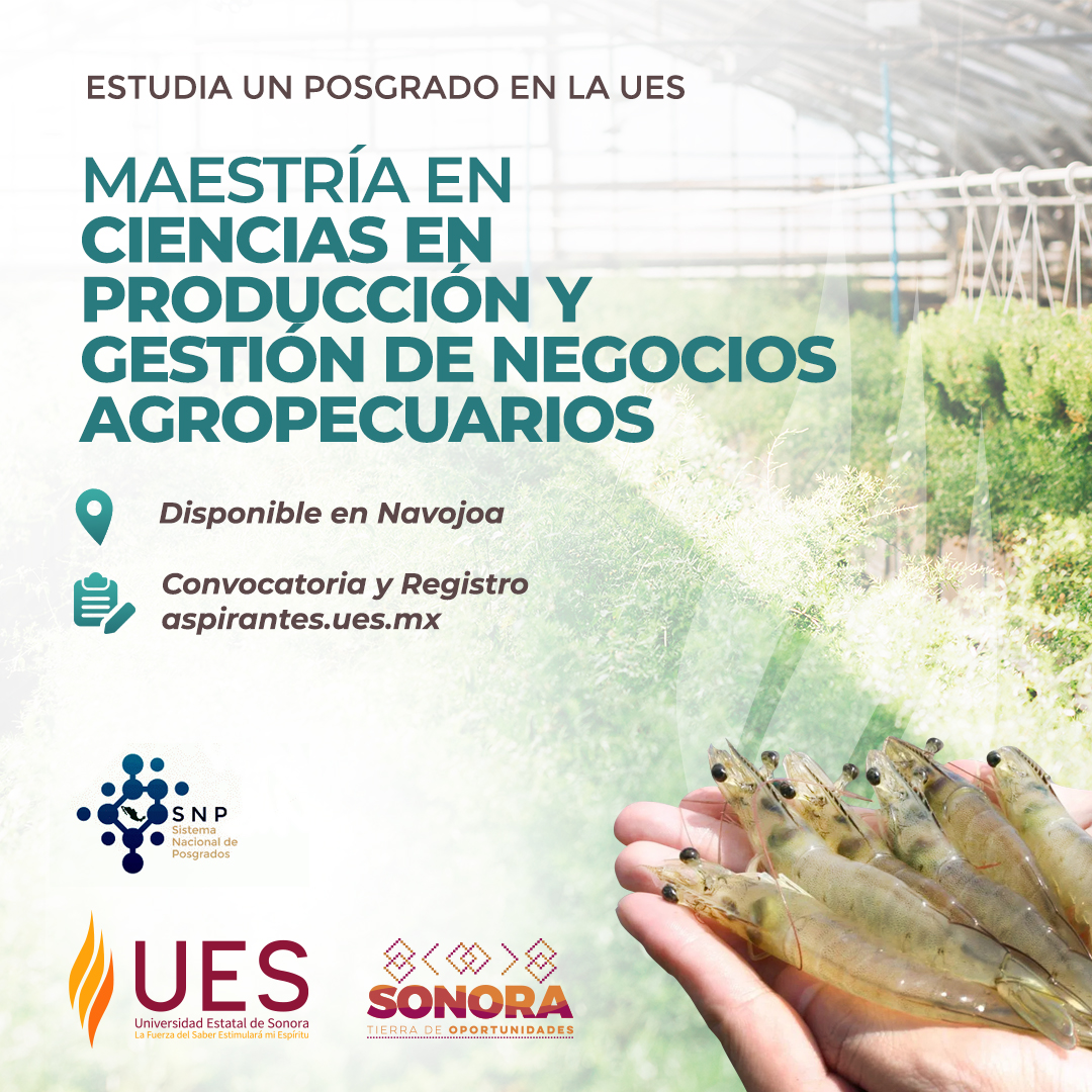UES Navojoa - 🎓 Estudia un posgrado en la Universidad... | Facebook