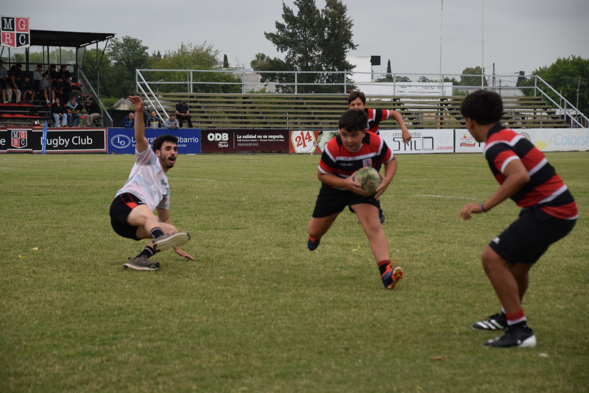MONTE GRANDE RUGBY CLUB added a... - MONTE GRANDE RUGBY CLUB