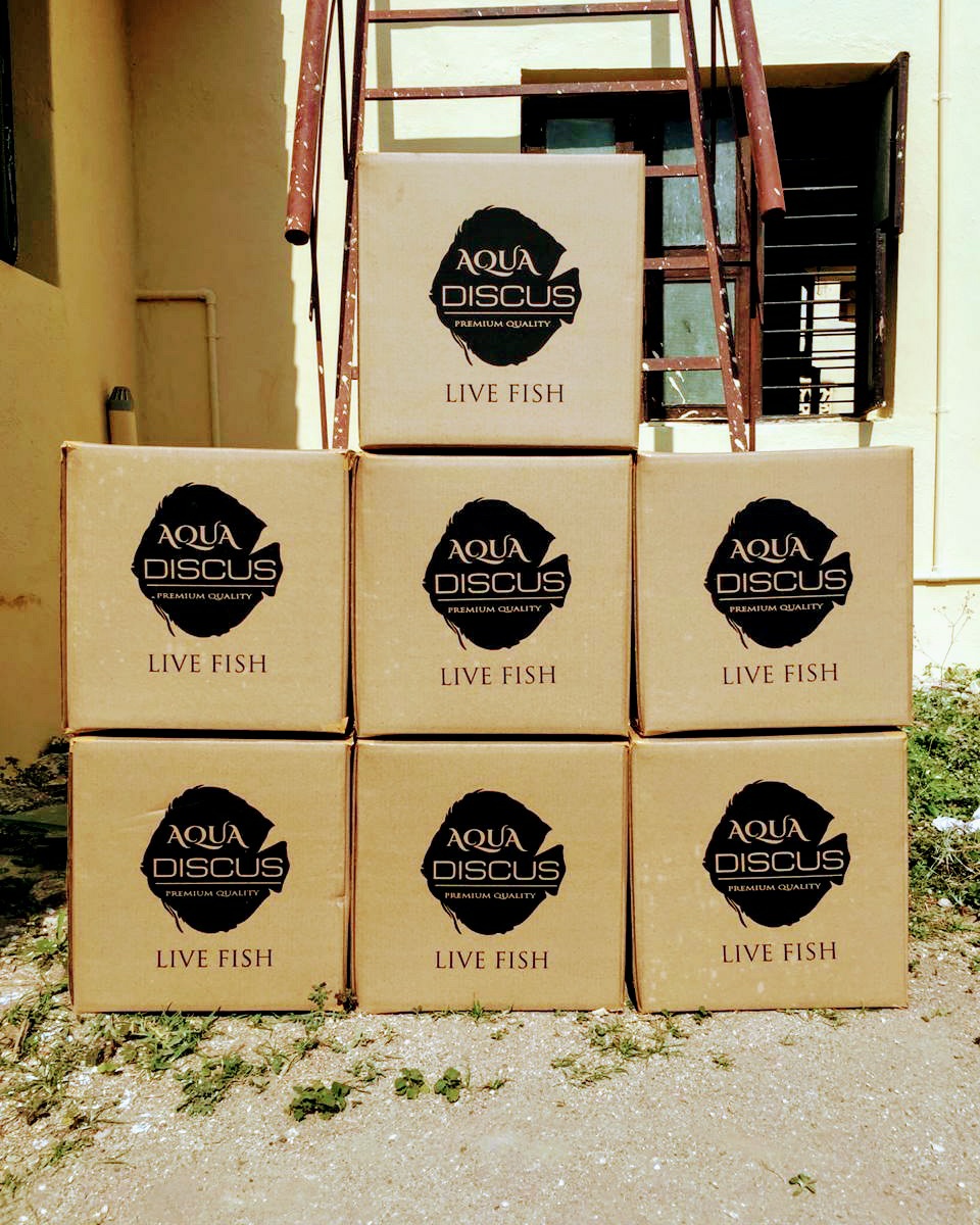 All about last week's Aqua Discus... - Aqua Discus India