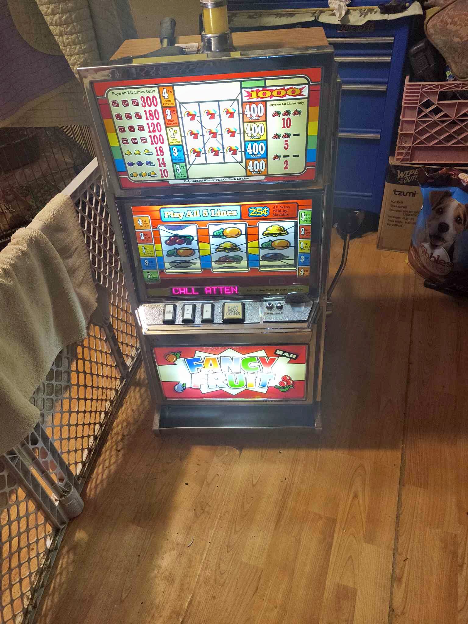 Fancy Fruit Slot Machine - Slot Machines - Leitchfield, Kentucky ...
