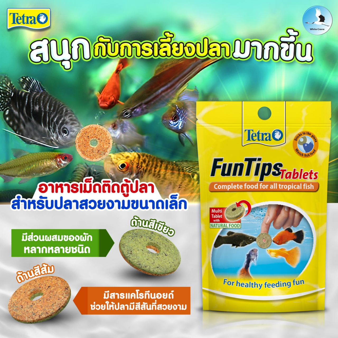 White - 👍สนุกกับการเลี้ยงปลามากขึ้นด้วย Tetra Fun Tips Tablets! 🐠อาหาร ...