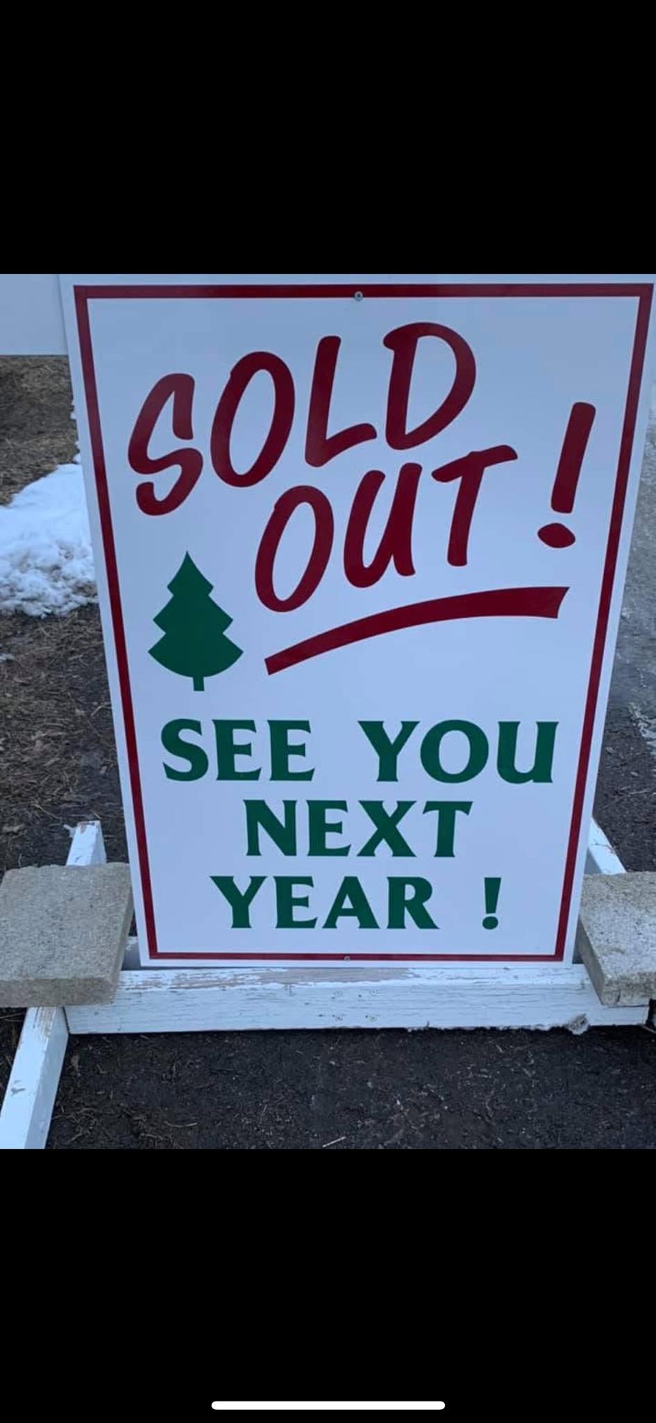 Merry Christmas Trees | Windham ME