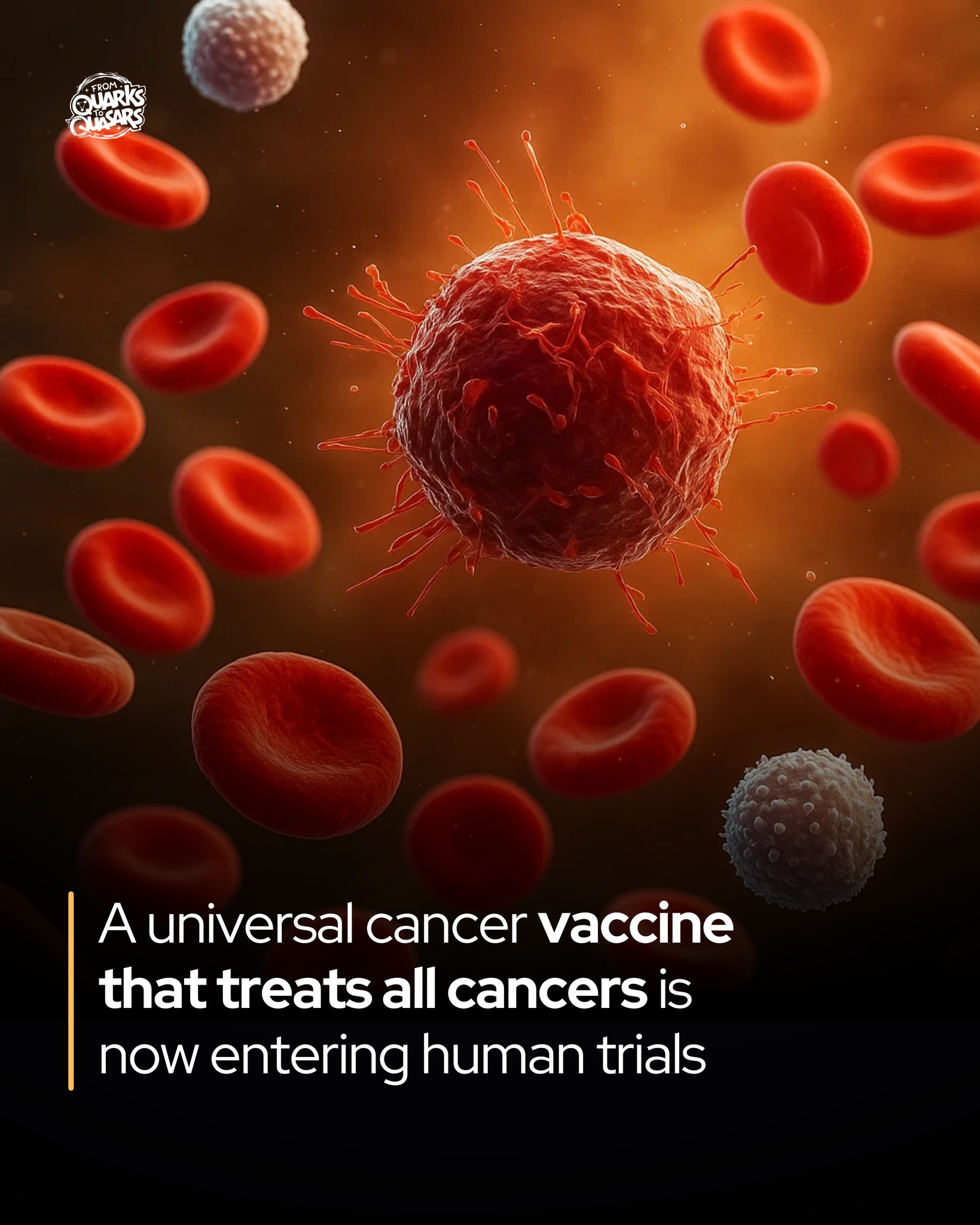 From - A universal cancer vaccine is now entering human trials ...