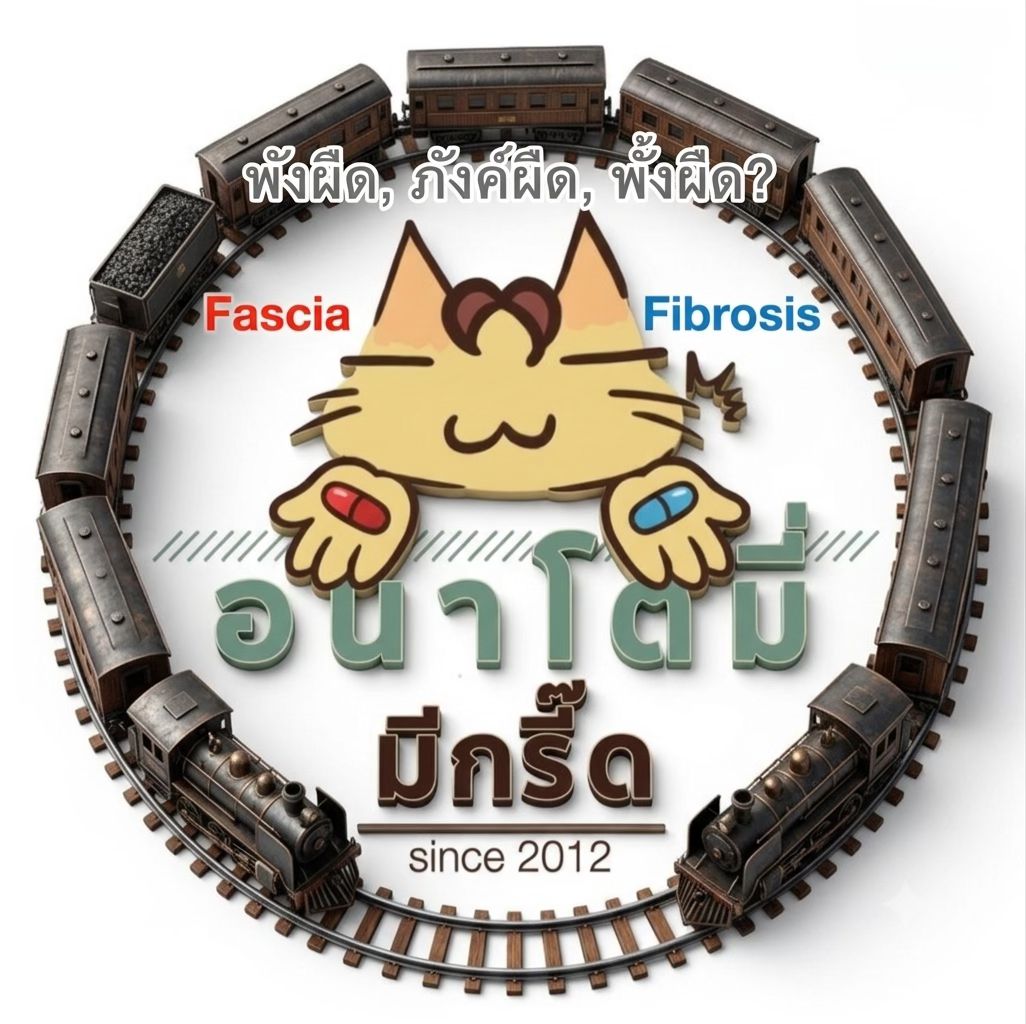 อนาโตมี่ - กรี๊ดกันวันละคำ หมวด A #7 adduction มาจากคำว่า ad - to - ไป ...