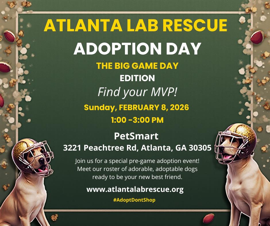 Atlanta Lab Rescue added a new photo. - Atlanta Lab Rescue